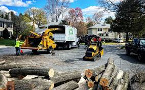 Best Commercial Tree Services  in USA